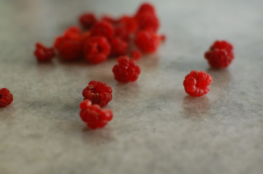 imperfect raspberries